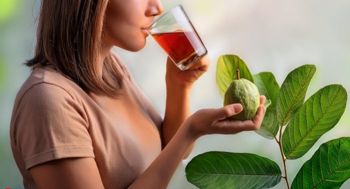 Té de Guayaba Beneficios, Propiedades y Cómo Prepararlo